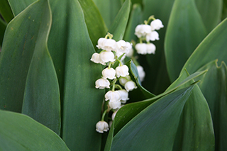 20190507_02.jpg